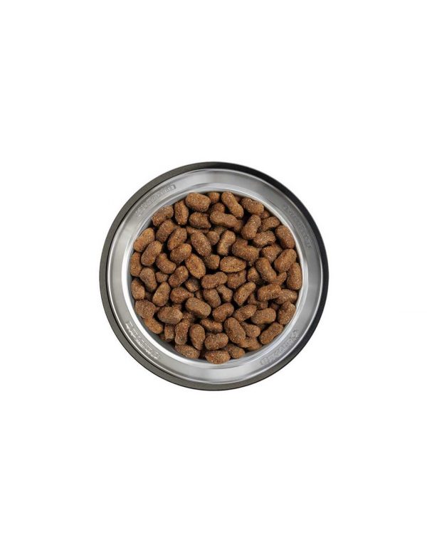 Alimento Belcando Perro Cerdo Ibérico Arroz