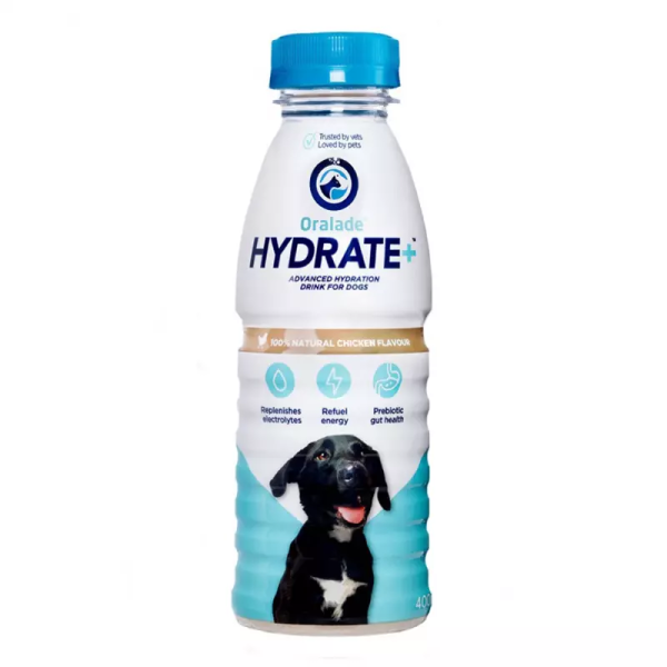 Oralade Hydrate dog 500 ml
