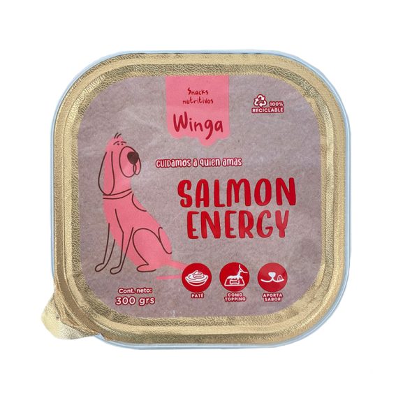 Winga perro Salmon Energy 300gr