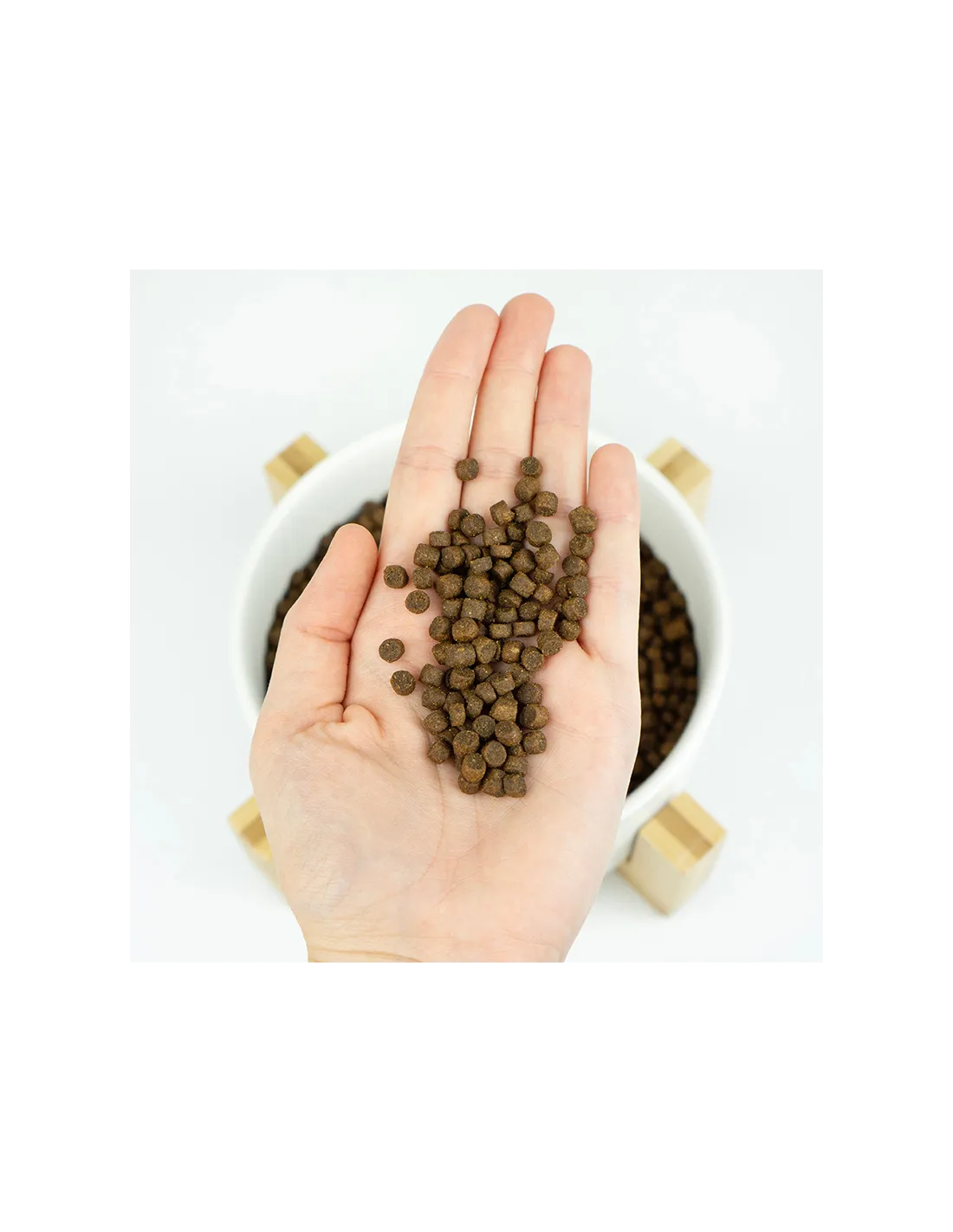 alimento Lenda Kitten Poultry & Fish 2kg - Imagen 2