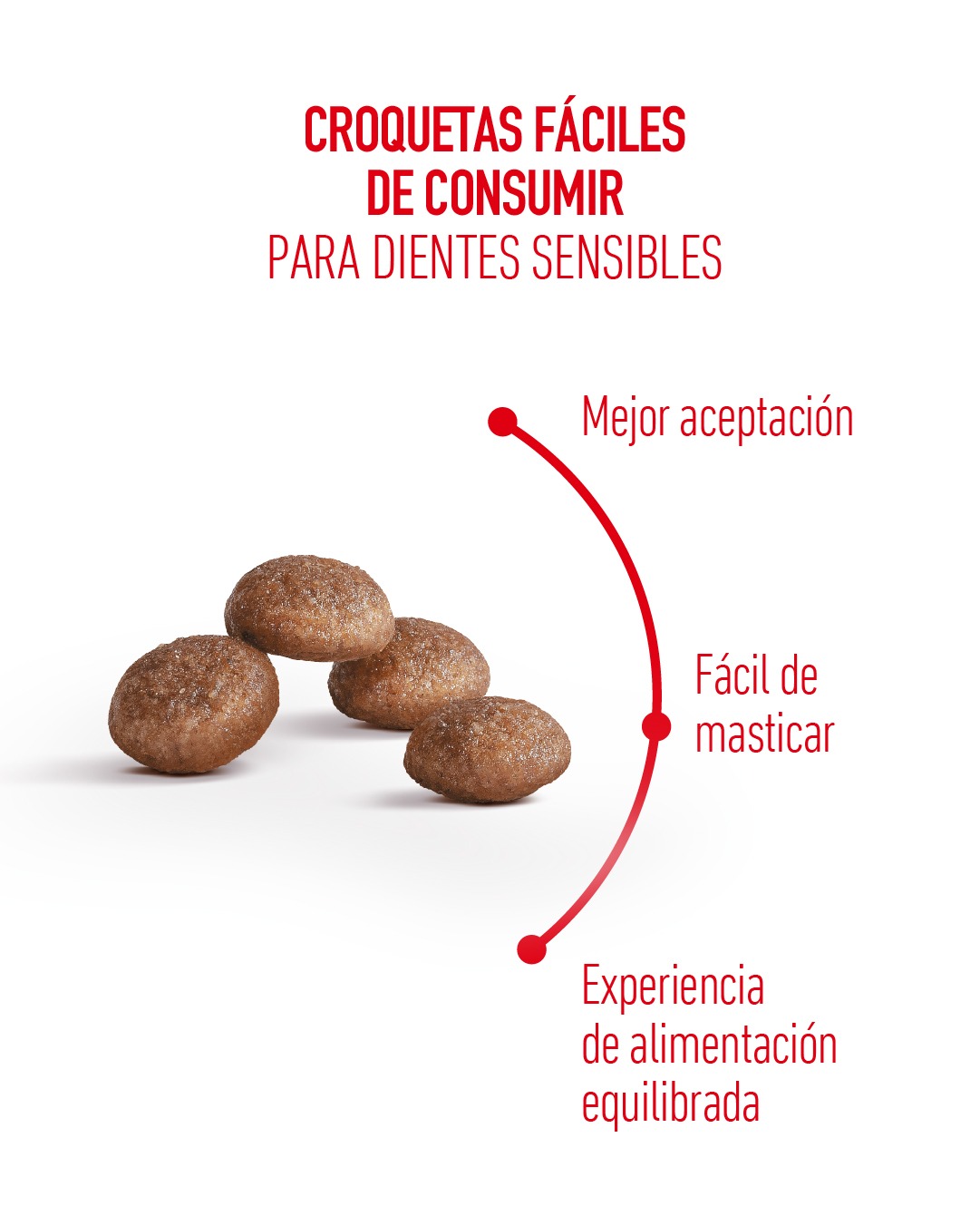 Royal canin gatos senior 11+ 2kg - Imagen 4