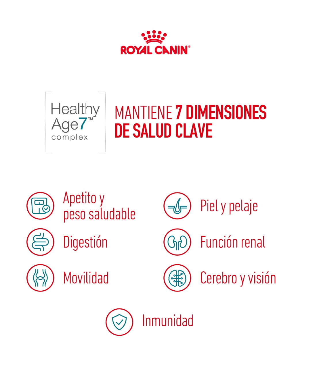 Royal canin gatos senior 11+ 2kg - Imagen 5