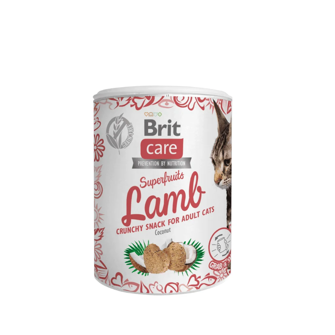 Brit care snack gato Superfruits Lamb Adult 100g