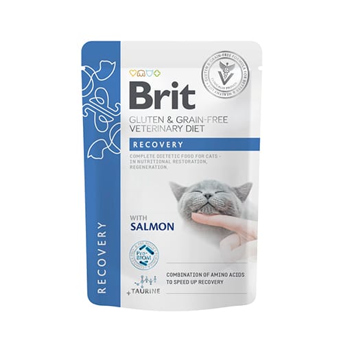 Brit care gato pouch gf Fillets in Gravy Recovery 85g